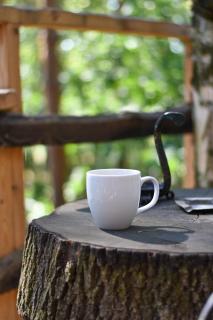 Willa na Drzewie - 5