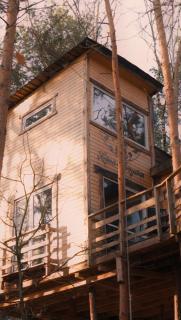 Willa na Drzewie - 2