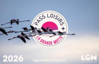 Port Vincent - Studio climatisé avec wifi vue piscine MAE-8374 - 9