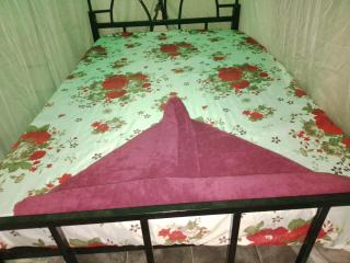 Ibus Nawi Homes 2 - 2