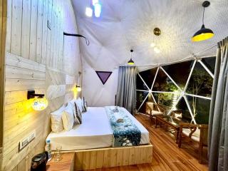 Eco Dome Kasauli - 3