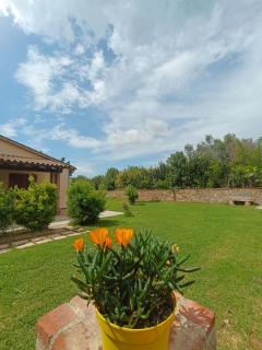 Agriturismo Pian dell'Osa - 8