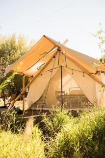 Echo Island RV Resort - 8