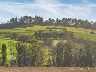 Buckland Lodge - Pentridge - 4