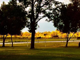 Mein Heim Guest Farm - 6