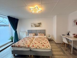 Apartmenthaus Döbeln Zentrum 01 - 1