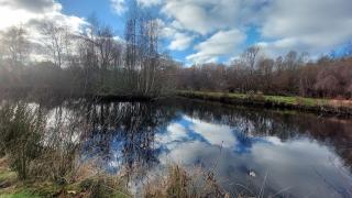 Großer Bungalow mit eigenem See und Insel - 4