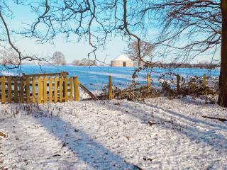 Fawnlea Cottage - Staindrop - 3