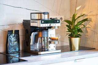 Luxury house with garden in the center of Roudnice nad Labem - 8