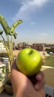 K Boutique Hotel - Pyramids & GEM - Roof - 1