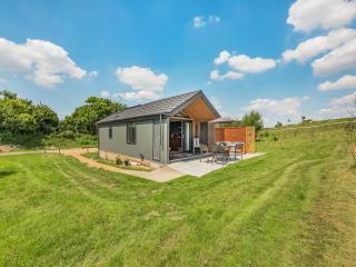 Cranbourne Chase Stargazer - Ukc6914 - Pentridge - 7