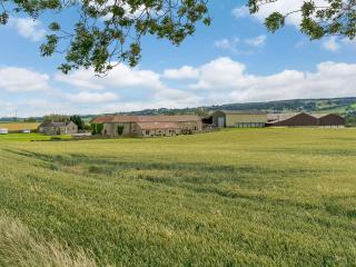 Turnip Cottage - 1