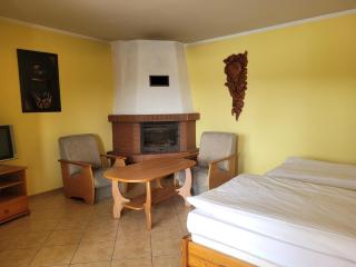 Apartamenty przy łowisku Niesiołowice,jezioro Czarne - 9