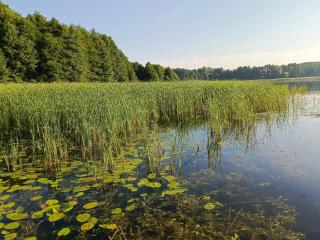Apartamenty LOS NOBLES w spokojnej okolicy w pobliżu jeziora - 2