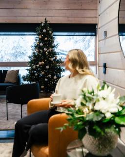 Santa's Luxury Apartment 2, Santa Claus Village - 5