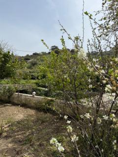 The River House - 6