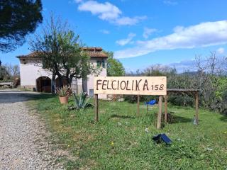 Felciolina - Colonica medievale 30' da Firenze - 0