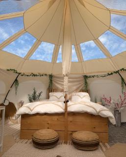 Glamping Moonlight - 0