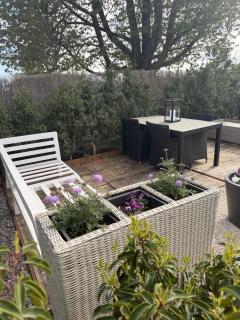 Glamping Moonlight - 1