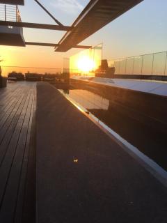 Urban Elephant 16 On Bree - 2