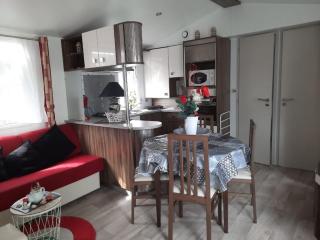 Mobil'home 3 pièces 4 couchages Dolus d'Oléron DDO000-457 - 0