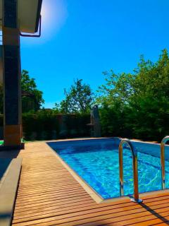 Villa Y1 with Hot Pool, Jacuzzi , Sauna - Sapanca - 3