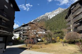 Mont-Blanc view Skiing Parking - Chamonix - 7