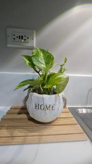 Air Residences by SMC - 2