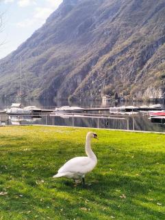 La Casa del Lago - 8