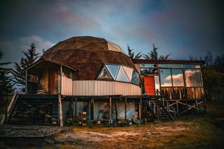 domo el manzano de nahuelbuta - 0