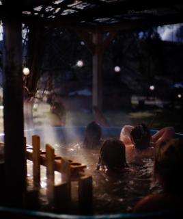 domo el manzano de nahuelbuta - 8