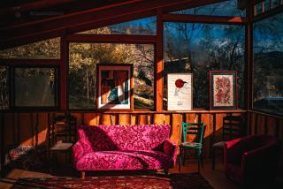 domo el manzano de nahuelbuta - 5