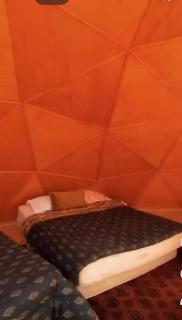 domo el manzano de nahuelbuta - 1