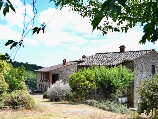 Leccio la Serpolla - 6