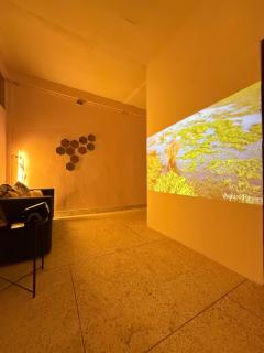 REHome - 1