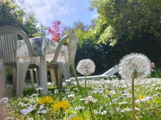 La chiave del tempo - 8