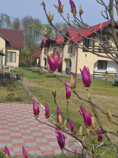 Pensiunea Magnolia din Tismana - 8