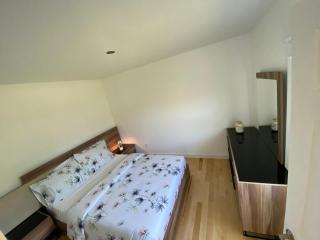 Recently renovated 4 bedroom, 4 bathroom house with heated pool close to beach - 2
