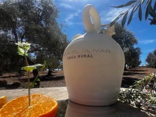 FINCA EL OLIVAR Casa Rural - 3