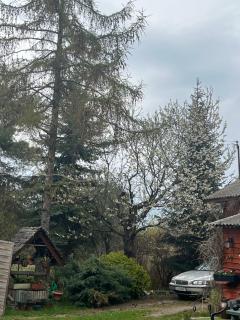 Ślimakowa chatka jak u babci - 8