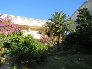 Apartments Palma Novalja - Novalja (Novaglia) - 0