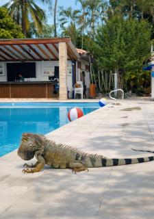 Hotel Campestre Real - 8