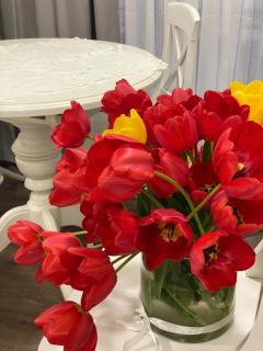 La casa di Elena - 8