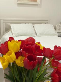 La casa di Elena - 7