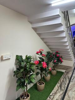 Palace city stay - 1