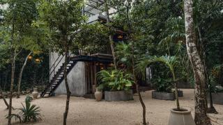 Casa Tattva - 3