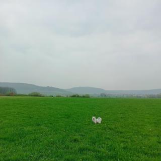 Domus Limes, Rad-Oase im Seenland - 7