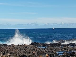 Villa dans l'Ocean - 5