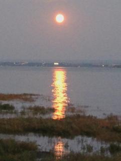 Auberge Les Blancs Moutons - 3