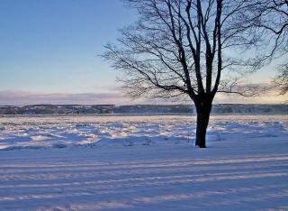 Auberge Les Blancs Moutons - 8